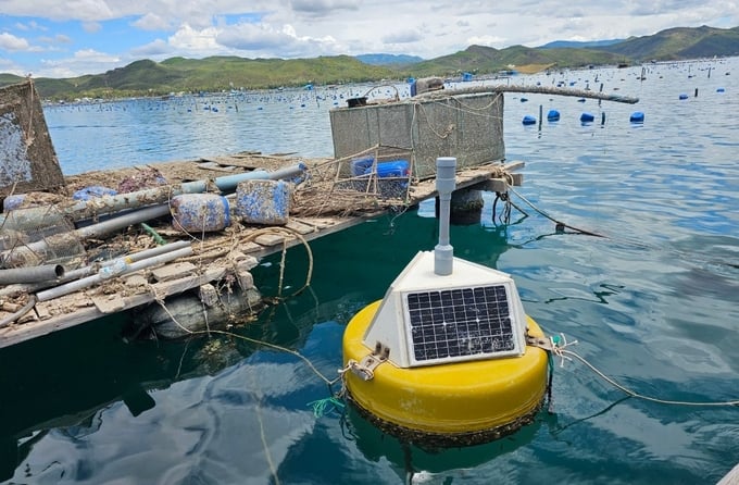 Kiểm soát chất lượng môi trường trong nuôi cá lồng Kiểm soát chất lượng môi trường trong nuôi cá lồng