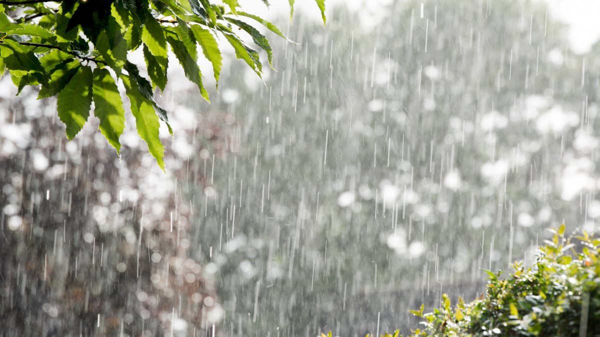 Miền Bắc đón không khí lạnh từ ngày 11/4, cảnh báo giông lốc và mưa đá Miền Bắc đón không khí lạnh từ ngày 11/4, cảnh báo giông lốc và mưa đá