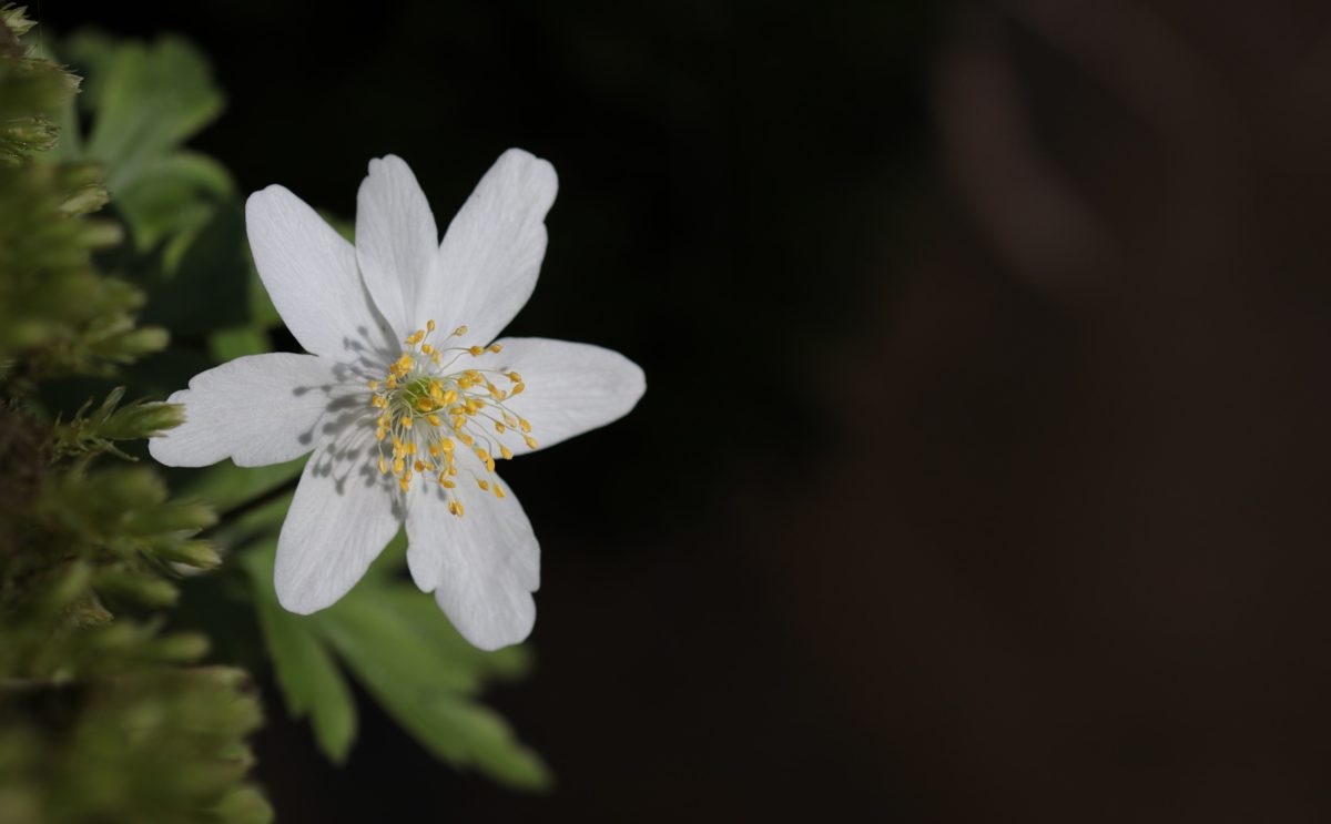 Tử vi vòng quay công nghệ ngày 13/4/2025: Tử vi vòng quay công nghệ ngày 13/4/2025: