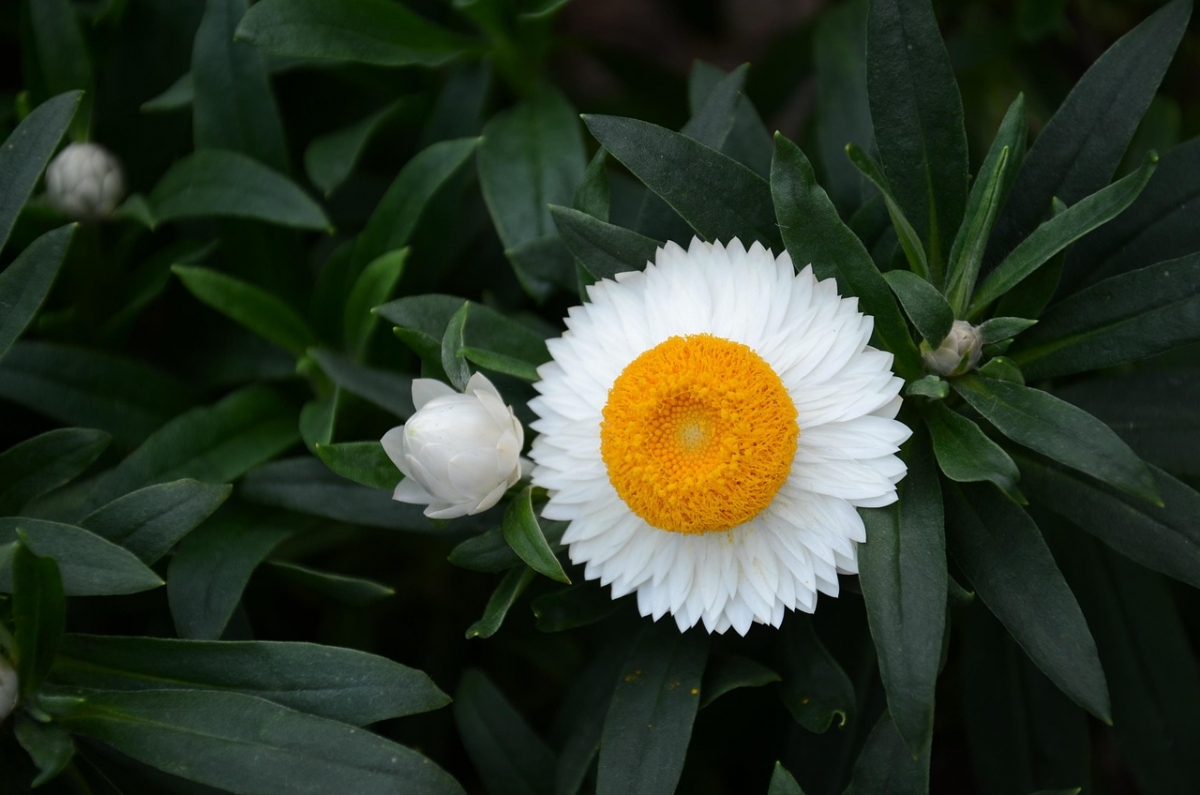 Tử vi vòng quay công nghệ ngày 13/4/2025: Tử vi vòng quay công nghệ ngày 13/4/2025: