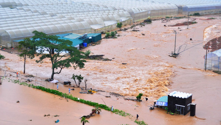 Lâm Đồng đa dạng giải pháp thích ứng biến đổi khí hậu Lâm Đồng đa dạng giải pháp thích ứng biến đổi khí hậu