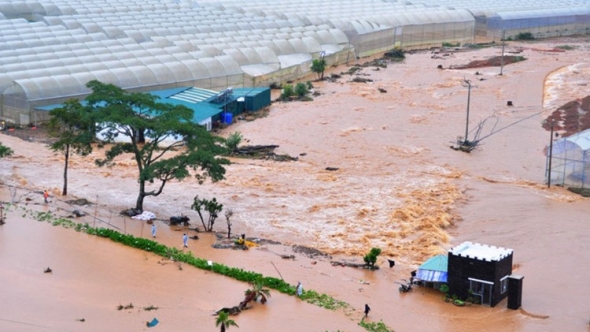 Lâm Đồng đa dạng giải pháp thích ứng biến đổi khí hậu