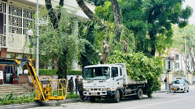 Hà Nội chủ động các biện pháp ứng phó hiệu quả thiên tai Hà Nội chủ động các biện pháp ứng phó hiệu quả thiên tai