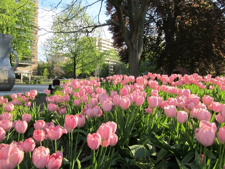 Tử vi vòng quay công nghệ ngày 25/4/2025: Tử vi vòng quay công nghệ ngày 25/4/2025: