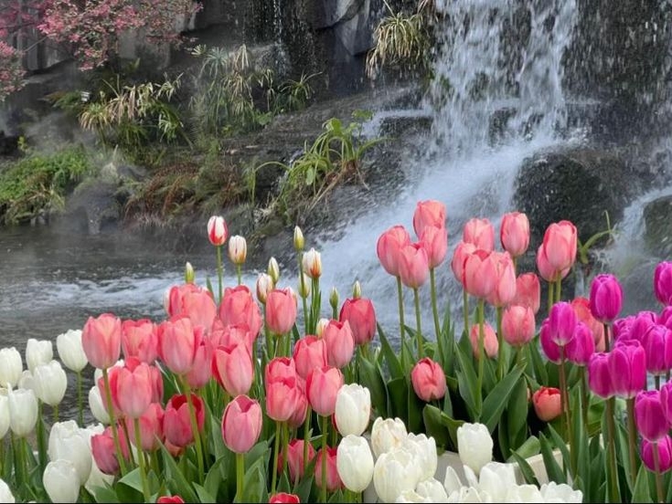 Tử vi vòng quay công nghệ ngày 25/4/2025: Tử vi vòng quay công nghệ ngày 25/4/2025: