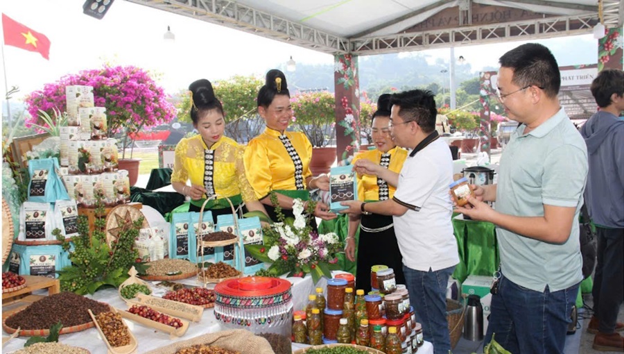 Sơn La: Chương trình OCOP góp phần nâng cao kinh tế hợp tác xã Sơn La: Chương trình OCOP góp phần nâng cao kinh tế hợp tác xã