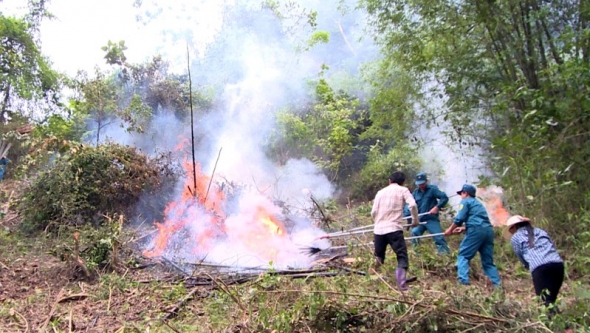 Bắc Giang tăng cường phòng, chống cháy rừng dịp nghỉ lễ