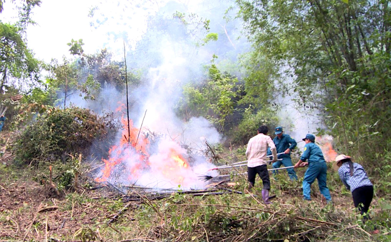 Bắc Giang tăng cường phòng, chống cháy rừng dịp nghỉ lễ Bắc Giang tăng cường phòng, chống cháy rừng dịp nghỉ lễ