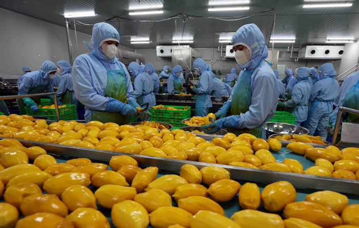 Xuất khẩu nông lâm thủy sản 3 tháng đầu năm tăng gần 6% so cùng kỳ