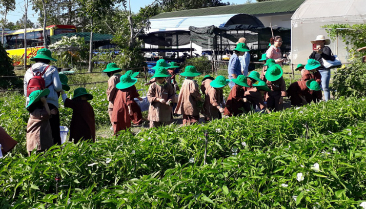 Tây Ninh: Khơi dậy tiềm năng du lịch nông nghiệp, nông thôn