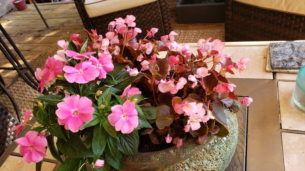 Tử vi vòng quay công nghệ ngày 4/4/2026: Tuổi Thân tình cảm may mắn, tuổi Thìn cẩn thận buôn bán