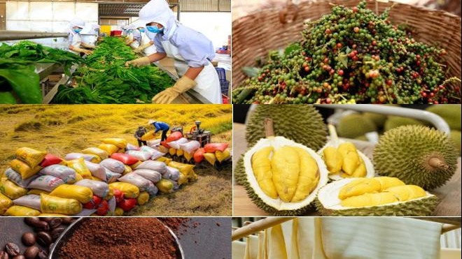 Giá nông sản ngày 9/4: Hồ tiêu tăng, cà phê lao dốc, lúa gạo phục hồi tích cực