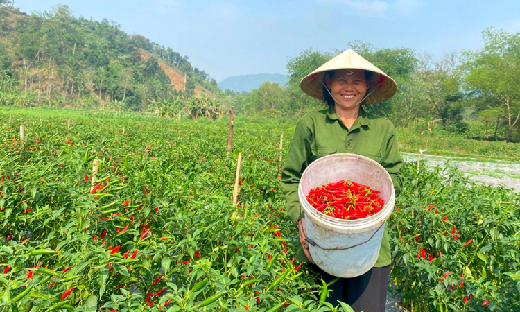 Thúc đẩy phát triển kinh tế từ tái cơ cấu nông nghiệp