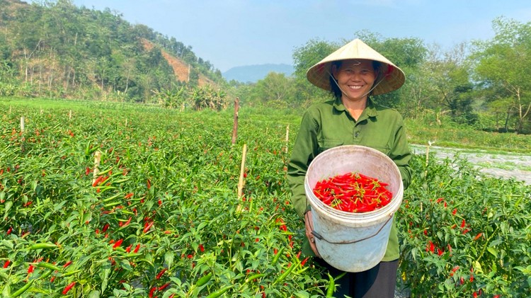 Thúc đẩy phát triển kinh tế từ tái cơ cấu nông nghiệp