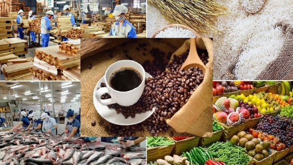 Giá nông sản ngày 12/4: Hồ tiêu và cà phê tiếp tục khởi sắc, lúa gạo giao dịch chậm