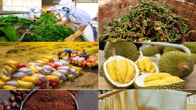 Giá nông sản ngày 16/4: Tiêu tăng mạnh, cà phê khởi sắc, lúa gạo giao dịch chậm