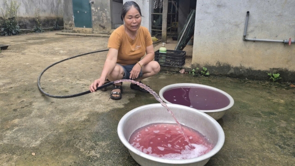 Thanh Hóa: Nước giếng hàng chục hộ dân xã Thạch Quảng đổi màu tím bất thường