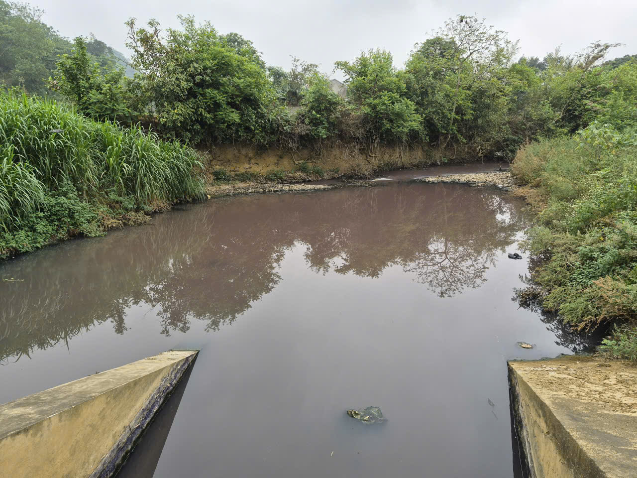 Thanh Hóa: Nước giếng hàng chục hộ dân xã Thạch Quảng đổi màu tím bất thường