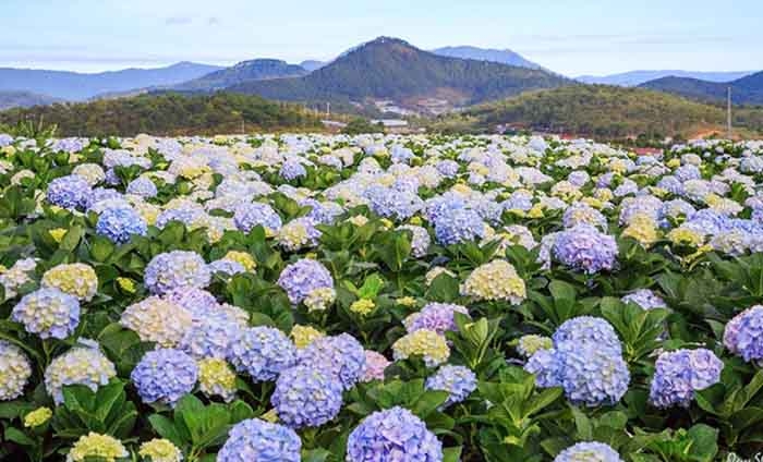 Tử vi vòng quay công nghệ ngày 19/4/2026: Tuổi Dậu làm ăn có lộc, tuổi Sửu dễ có trục trặc