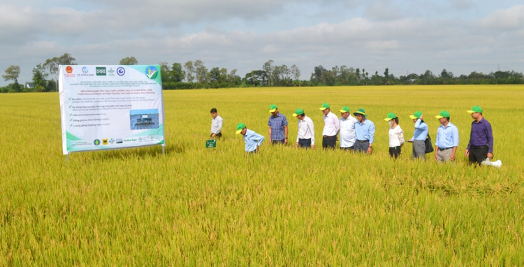 Đồng Tháp triển khai các biện pháp kiểm soát phát thải