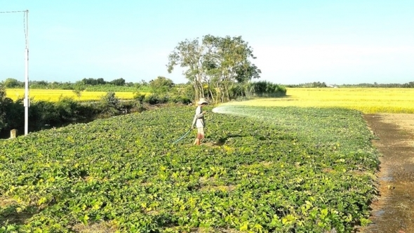 Chủ động nguồn nước phục vụ sản xuất, ứng phó với hạn mặn