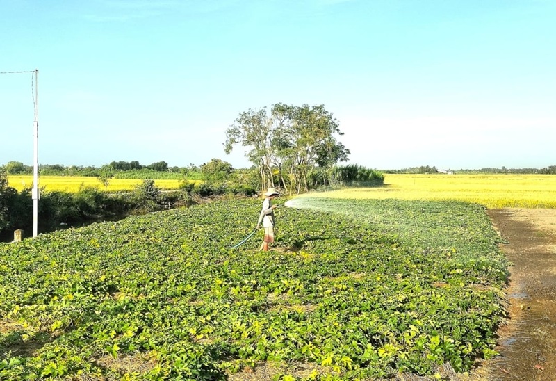 Chủ động nguồn nước phục vụ sản xuất, ứng phó với hạn mặn