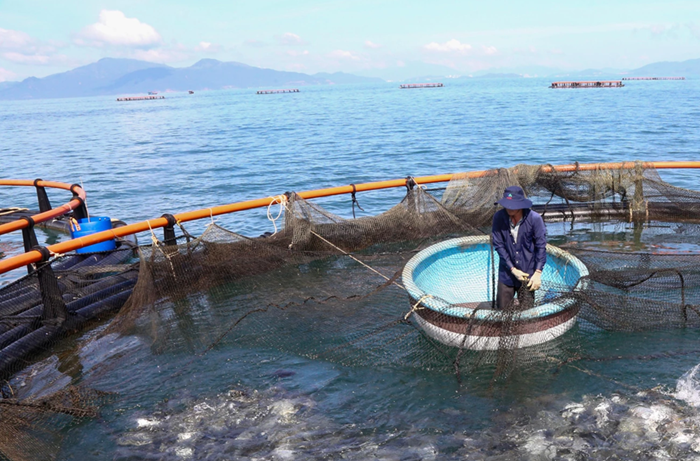 Tái cơ cấu thủy sản theo hướng hiện đại, bền vững từ xác định đối tượng chủ lực