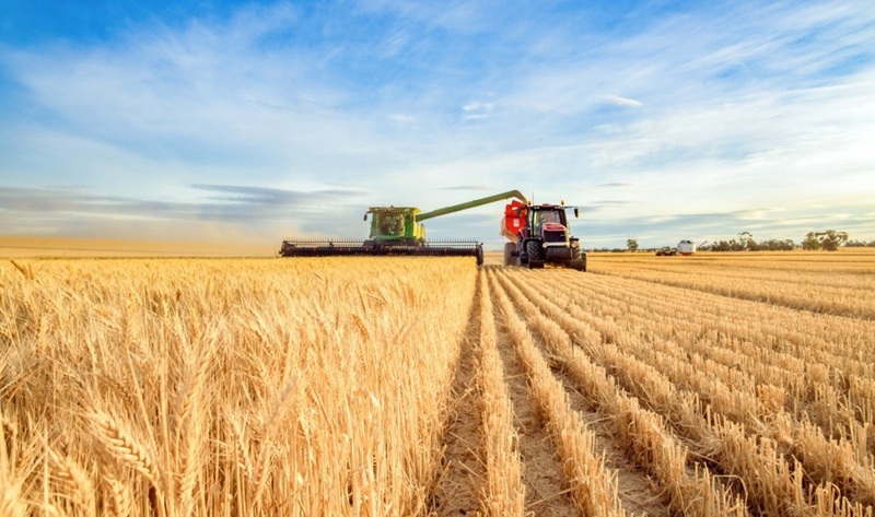 Gia tăng nhiều rủi ro với an ninh lương thực toàn cầu