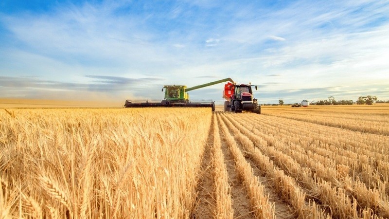 Gia tăng nhiều rủi ro với an ninh lương thực toàn cầu