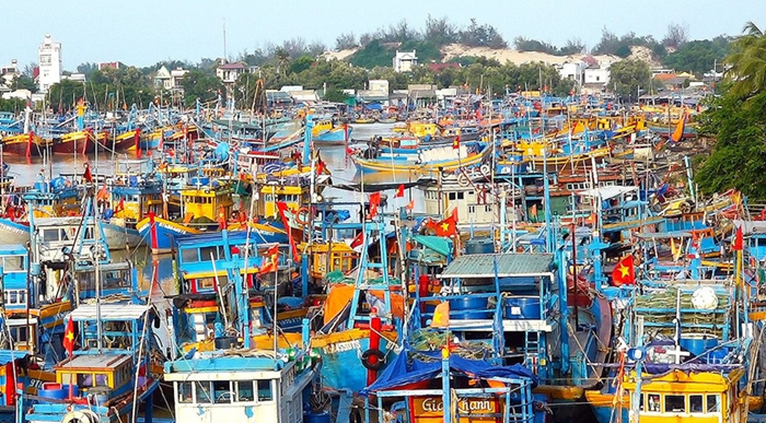 Rà soát toàn bộ hệ thống pháp luật quản lý ngành thủy sản