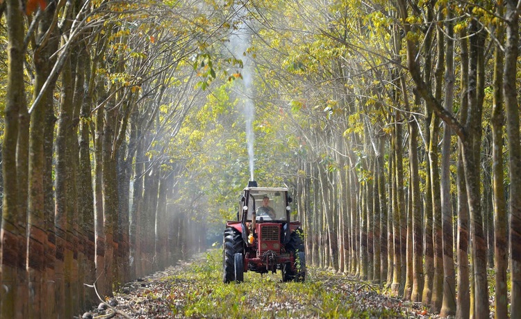 ‘Đánh thức’ 1 triệu hecta đất nông nghiệp tại Đồng Nai