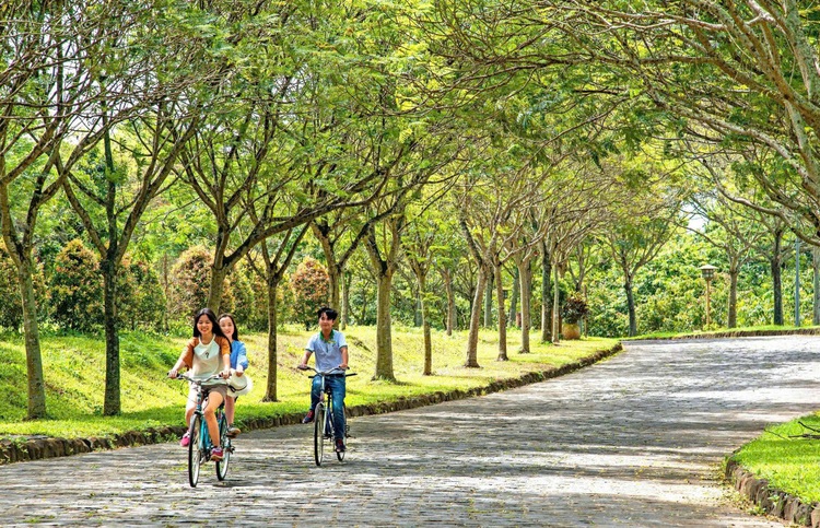 ‘Đánh thức’ 1 triệu hecta đất nông nghiệp tại Đồng Nai