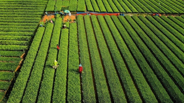 ‘Đánh thức’ 1 triệu hecta đất nông nghiệp tại Đồng Nai