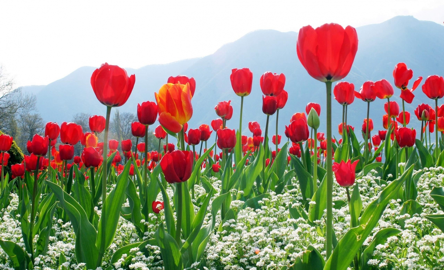 Tử vi 12 con giáp 5/5/2022: Tuổi Tỵ tài lộc vượng sắc, tuổi Hợi dễ bị tiểu nhân lợi dụng Tử vi 12 con giáp 5/5/2022: Tuổi Tỵ tài lộc vượng sắc, tuổi Hợi dễ bị tiểu nhân lợi dụng