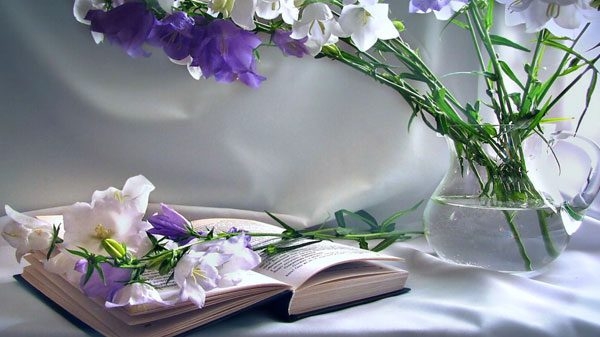 Tử vi 12 con giáp 7/5/2022: Tuổi Mão tài lộc dồi dào, tuổi Dần gặp khó khăn Tử vi 12 con giáp 7/5/2022: Tuổi Mão tài lộc dồi dào, tuổi Dần gặp khó khăn