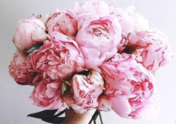 Tử vi 12 con giáp 9/5/2022: Tuổi Mão hoạ tiểu nhân đeo bám, tuổi Mùi may mắn chiếu mệnh