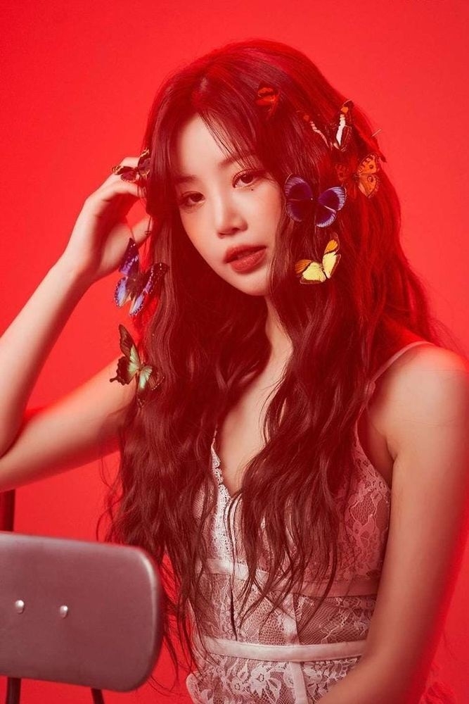 Sao Hàn hôm nay 12/5: Kim Jong Kook, Ji Hyun Woo xác nhận tham gia show tạp kỹ mới của đài MBC Sao Hàn hôm nay 12/5: Kim Jong Kook, Ji Hyun Woo xác nhận tham gia show tạp kỹ mới của đài MBC