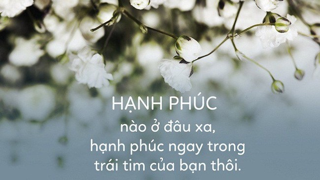 Luôn có một ngày đáng để sống