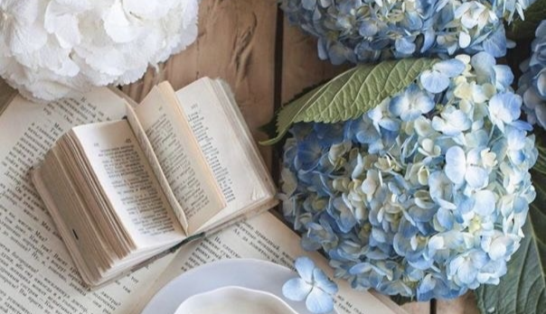 Tử vi 12 con giáp ngày 26/5/2022: Tuổi Sửu xúc tiến thuận lợi, tuổi Ngọ nhiều mâu thuẫn