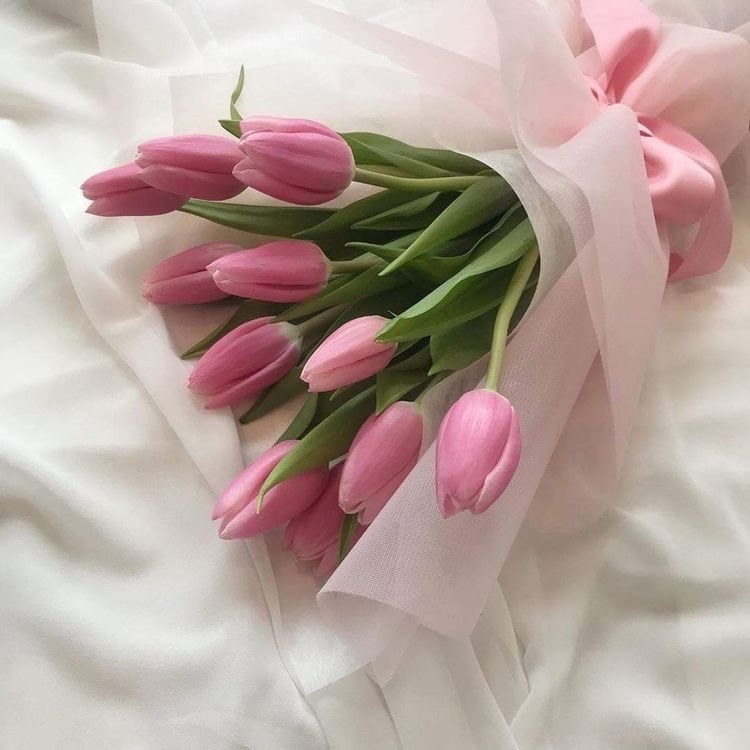 Tử vi 12 con giáp ngày 27/5/2022: Tuổi Mão gặp may mắn, tuổi Ngọ bị cảm xúc chi phối