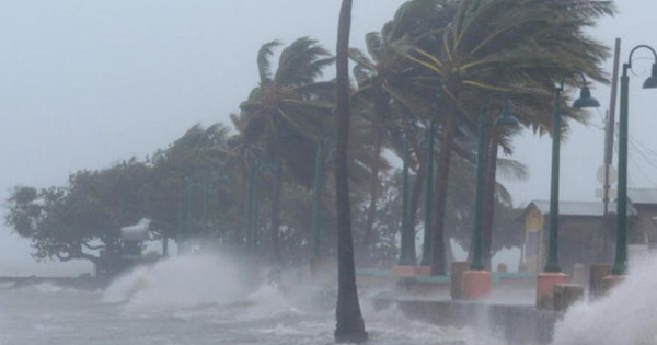 Mùa bão năm nay có khoảng 4- 7 cơn bão tác động đến đất liền