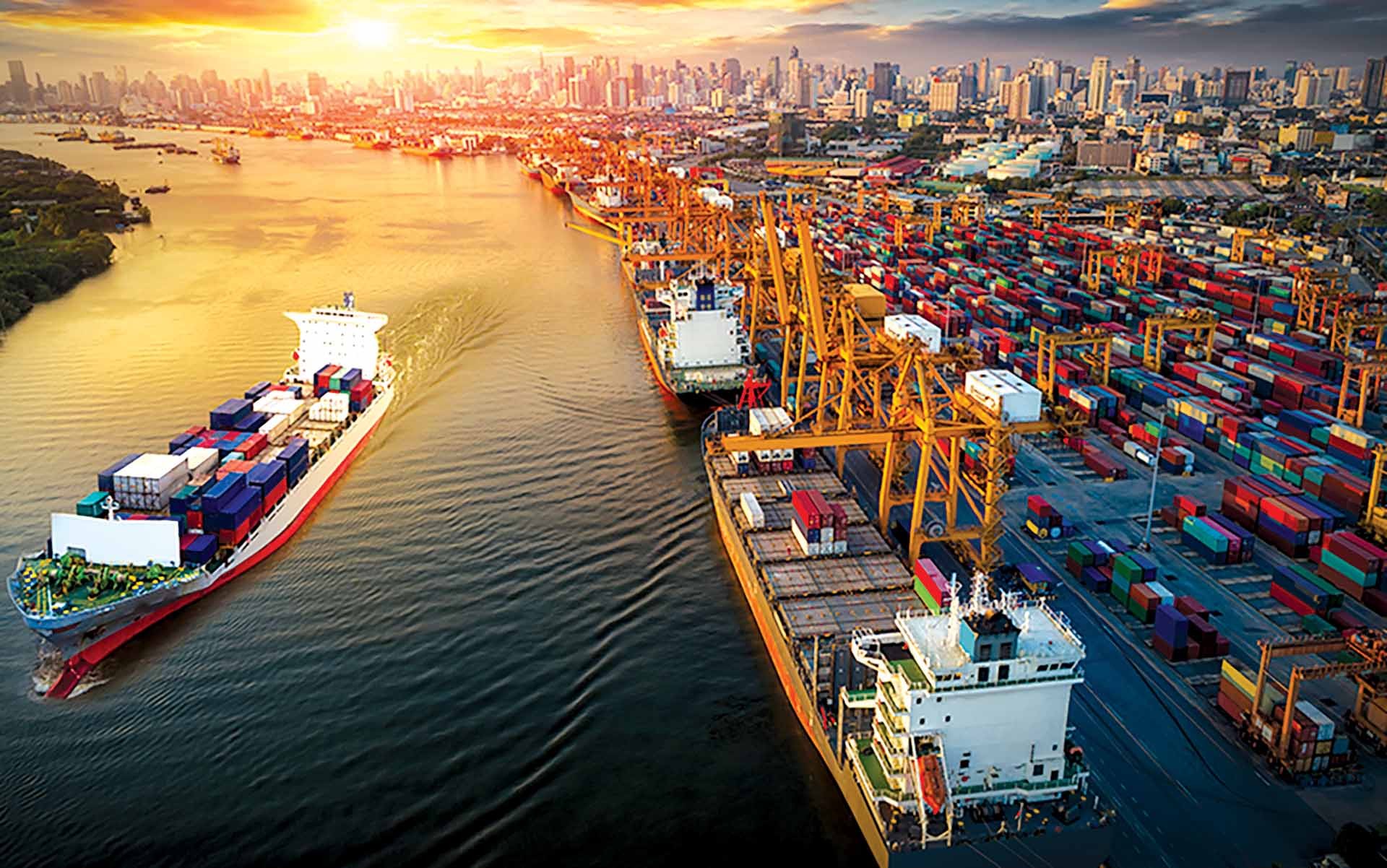 Việt Nam đang nổi lên như một mắt xích quan trọng trong mạng lưới cung ứng toàn cầu. Việt Nam đang nổi lên như một mắt xích quan trọng trong mạng lưới cung ứng toàn cầu.