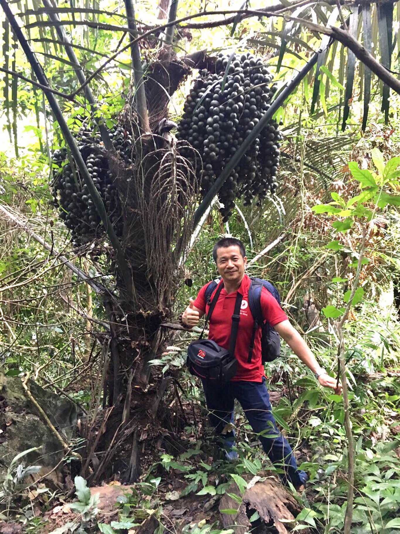 Doanh nhân Ngô Đức Phương: "Thuốc nam là kho báu của người Việt" Doanh nhân Ngô Đức Phương: "Thuốc nam là kho báu của người Việt"