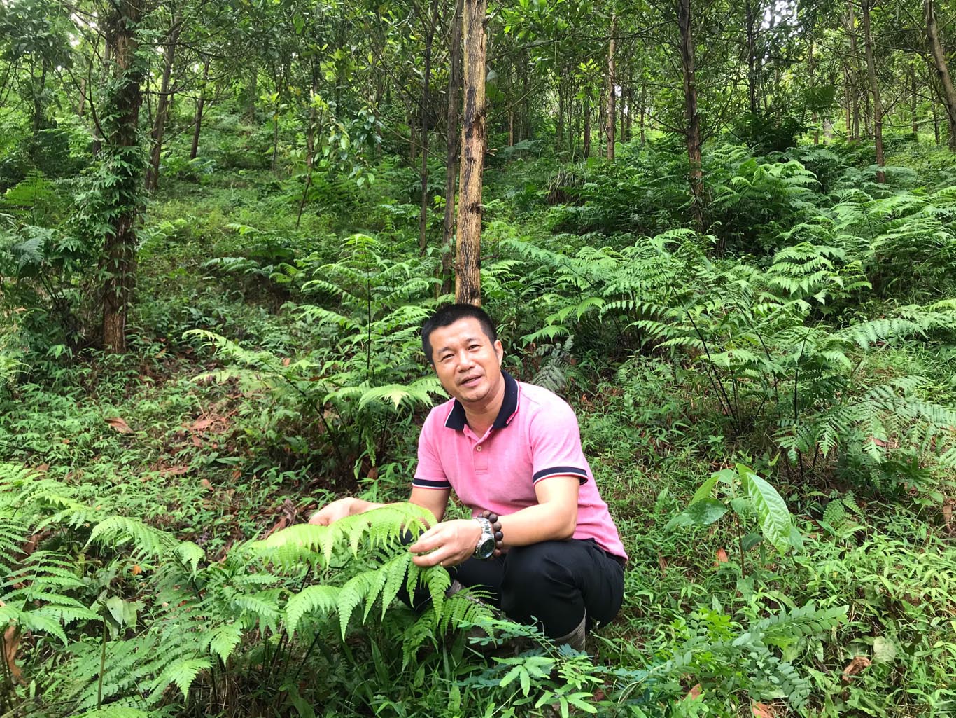 Doanh nhân Ngô Đức Phương: "Thuốc nam là kho báu của người Việt" Doanh nhân Ngô Đức Phương: "Thuốc nam là kho báu của người Việt"