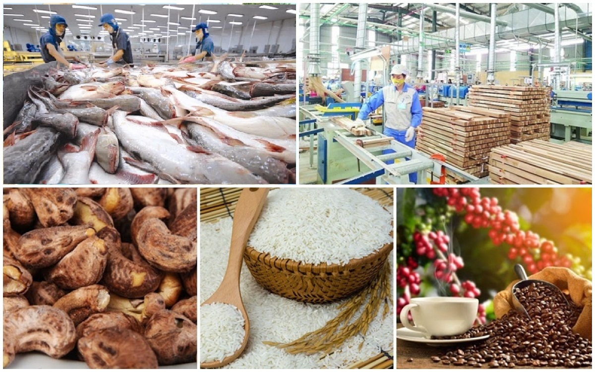 5 tháng, ngành nông nghiệp xuất siêu 3,55 tỉ USD, giảm 21,1% so với cùng kỳ 5 tháng, ngành nông nghiệp xuất siêu 3,55 tỉ USD, giảm 21,1% so với cùng kỳ