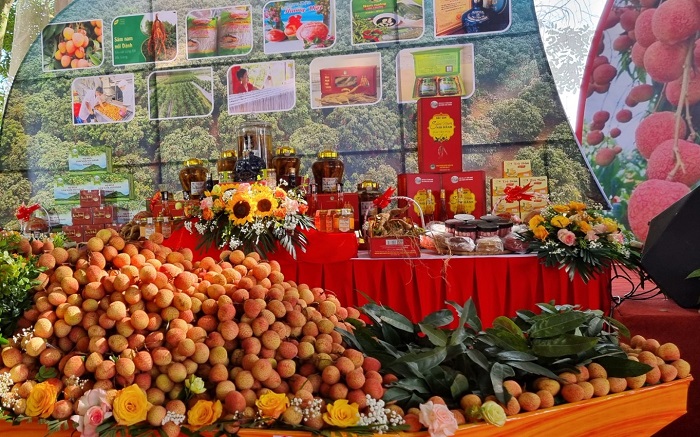 Bắc Giang xúc tiến tiêu thụ vải thiều chín sớm