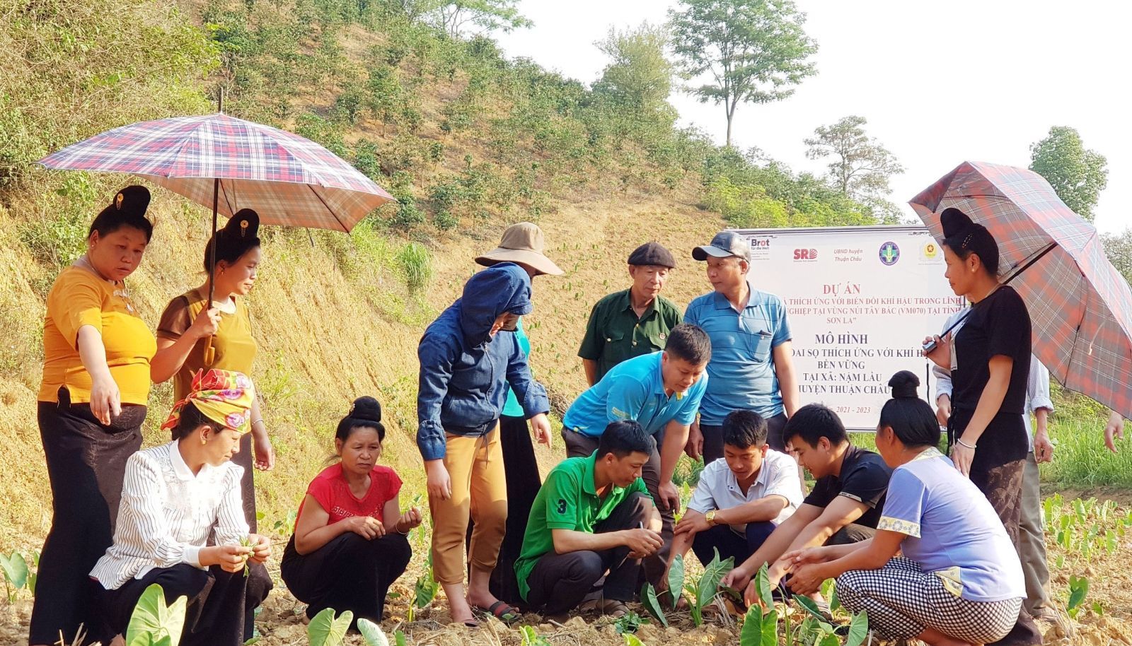 Sản xuất nông nghiệp thông minh để thích ứng biến đổi khí hậu Sản xuất nông nghiệp thông minh để thích ứng biến đổi khí hậu