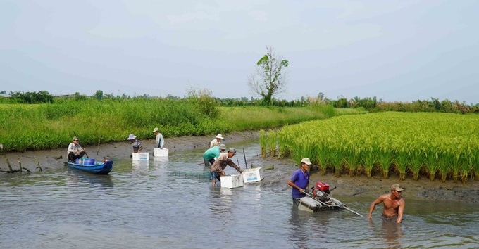 Sản xuất nông nghiệp thông minh để thích ứng biến đổi khí hậu Sản xuất nông nghiệp thông minh để thích ứng biến đổi khí hậu
