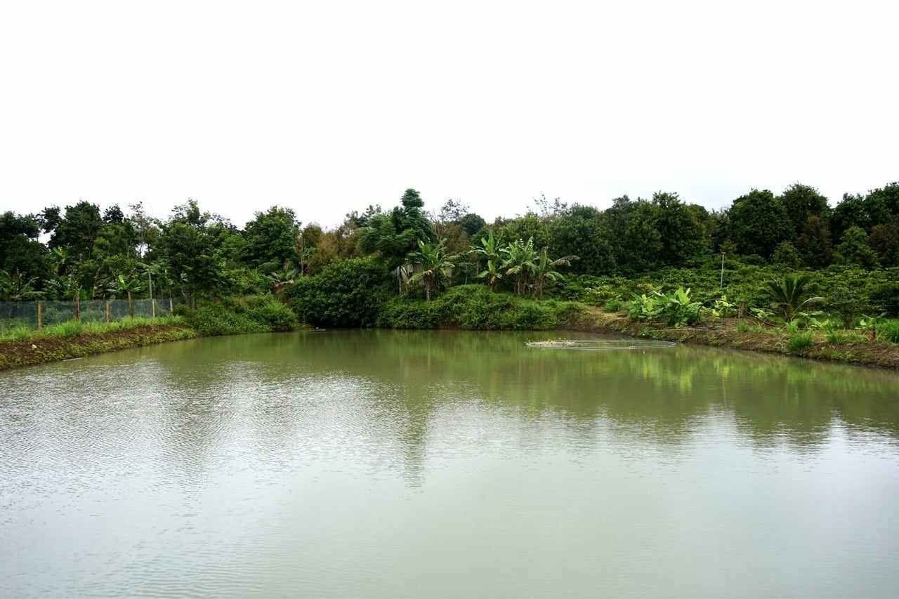 Sản xuất nông nghiệp thông minh để thích ứng biến đổi khí hậu Sản xuất nông nghiệp thông minh để thích ứng biến đổi khí hậu
