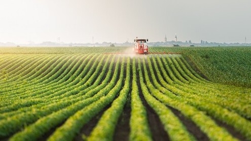Sản xuất nông nghiệp thông minh để thích ứng biến đổi khí hậu